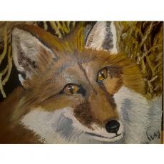 Мой любимый лис Мой любимый лис